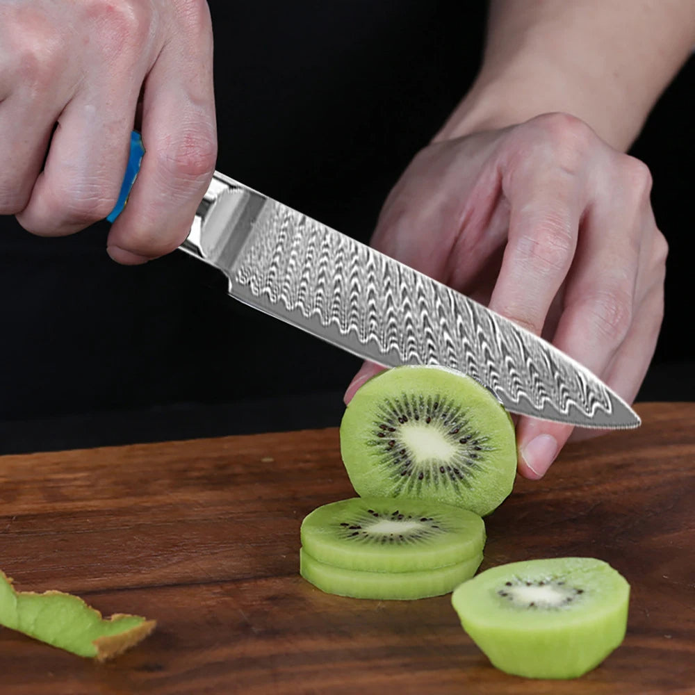 3.5 Inch Paring Knife VG10 Damascus Steel